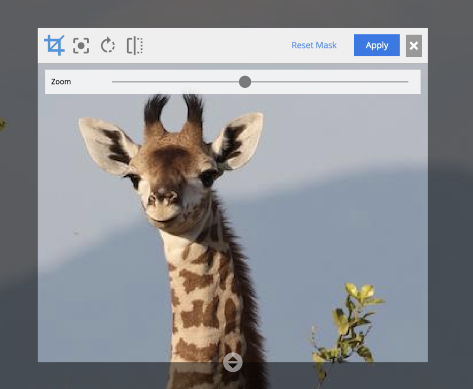 screenshot of Enonic XP